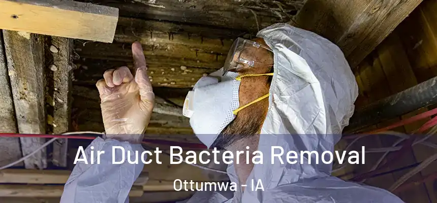  Air Duct Bacteria Removal Ottumwa - IA