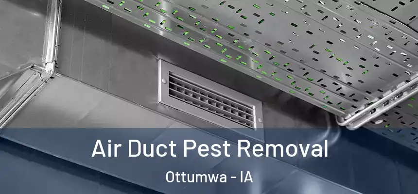  Air Duct Pest Removal Ottumwa - IA