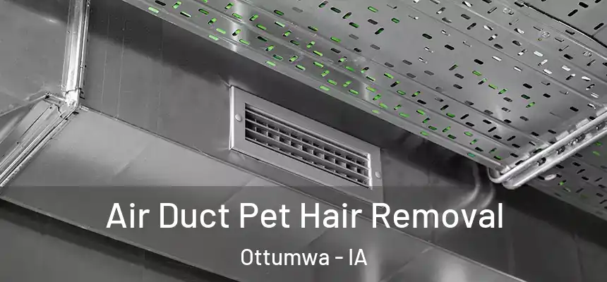  Air Duct Pet Hair Removal Ottumwa - IA