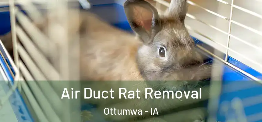  Air Duct Rat Removal Ottumwa - IA