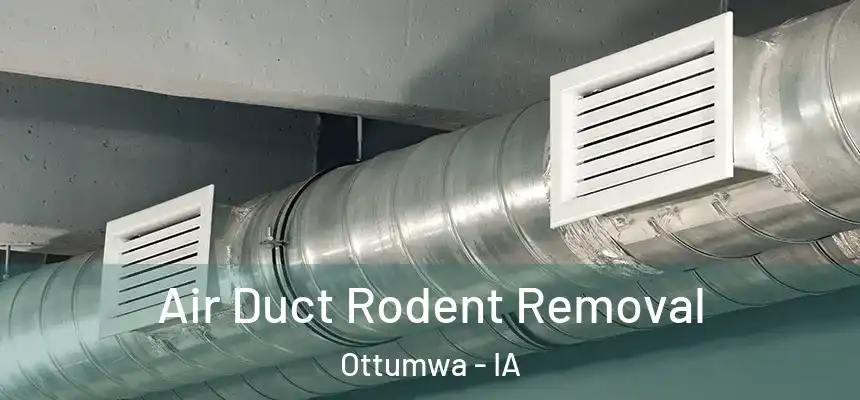  Air Duct Rodent Removal Ottumwa - IA