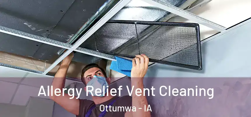 Allergy Relief Vent Cleaning Ottumwa - IA