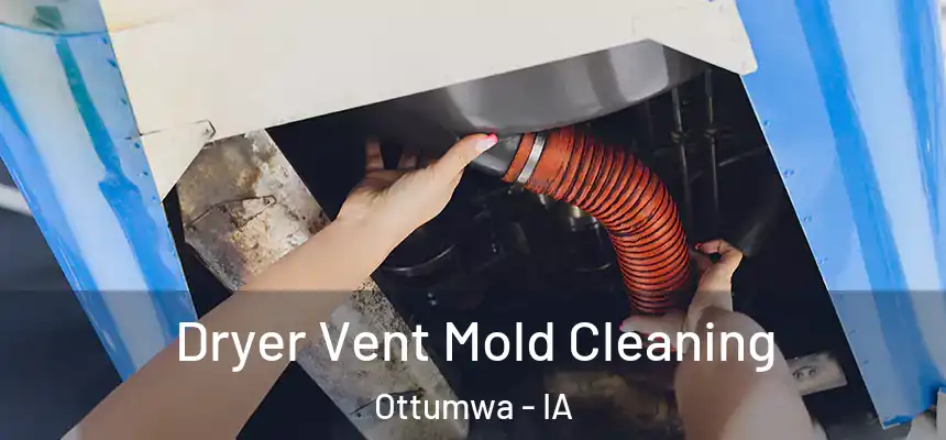  Dryer Vent Mold Cleaning Ottumwa - IA