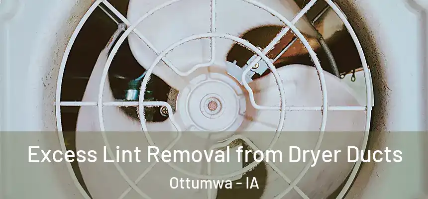  Excess Lint Removal from Dryer Ducts Ottumwa - IA