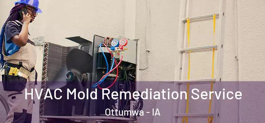  HVAC Mold Remediation Service Ottumwa - IA