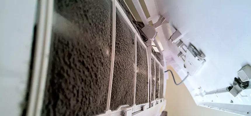 Preventive Air Duct Bacteria Removal in Ottumwa