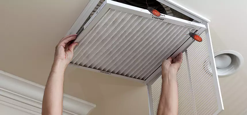 Preventive Cockroach-Proofing for Ducts in Ottumwa