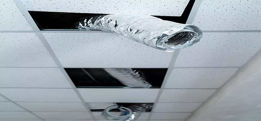 Our Air Duct Pet Hair Removal Services in Ottumwa, IA