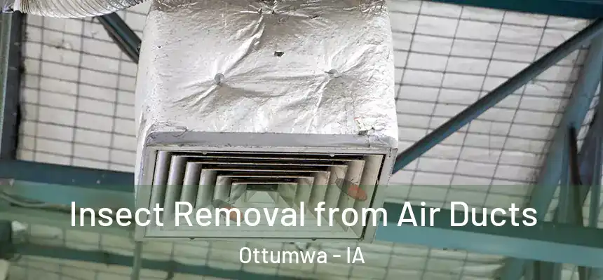  Insect Removal from Air Ducts Ottumwa - IA