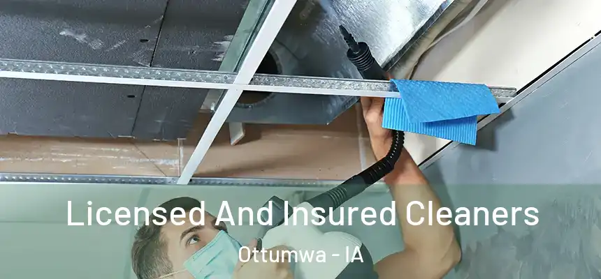  Licensed And Insured Cleaners Ottumwa - IA
