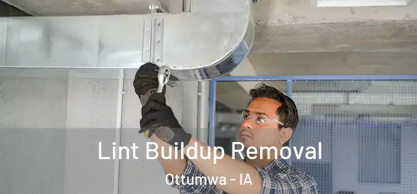  Lint Buildup Removal Ottumwa - IA