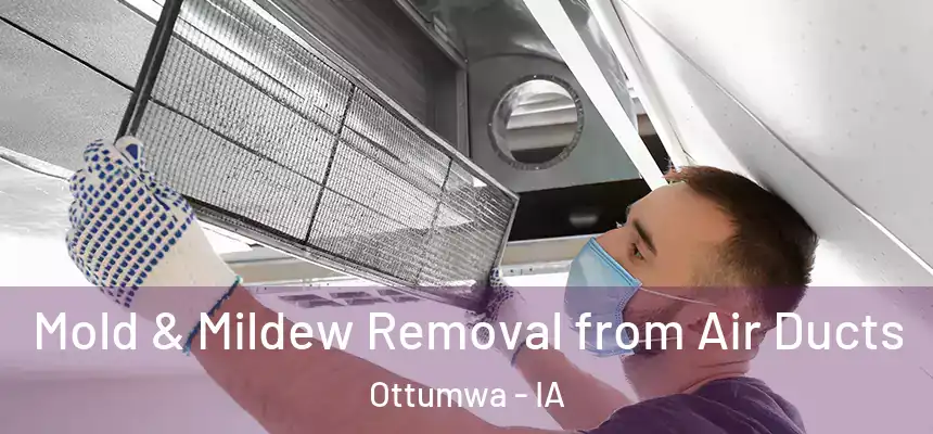 Mold & Mildew Removal from Air Ducts Ottumwa - IA