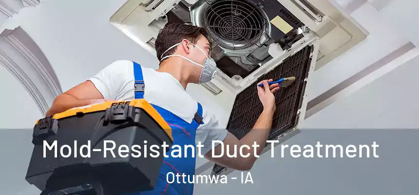 Mold-Resistant Duct Treatment Ottumwa - IA