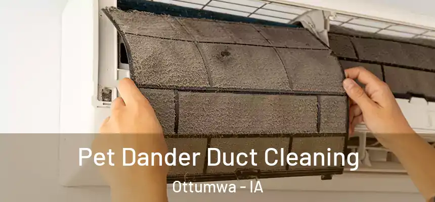  Pet Dander Duct Cleaning Ottumwa - IA