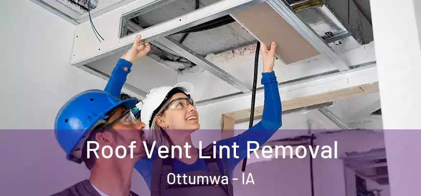  Roof Vent Lint Removal Ottumwa - IA