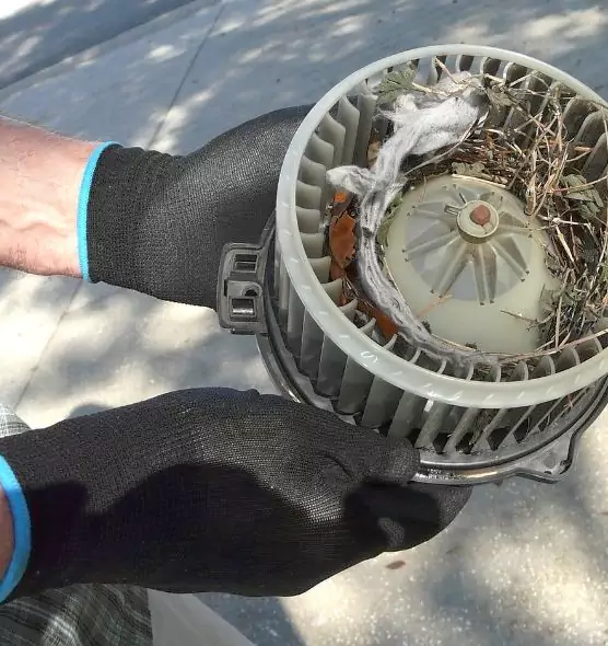 About Air Duct Rat Removal in Ottumwa, IA