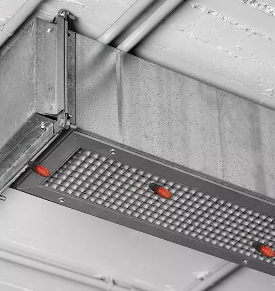 Affordable Insect Removal from Air Ducts in Ottumwa, IA