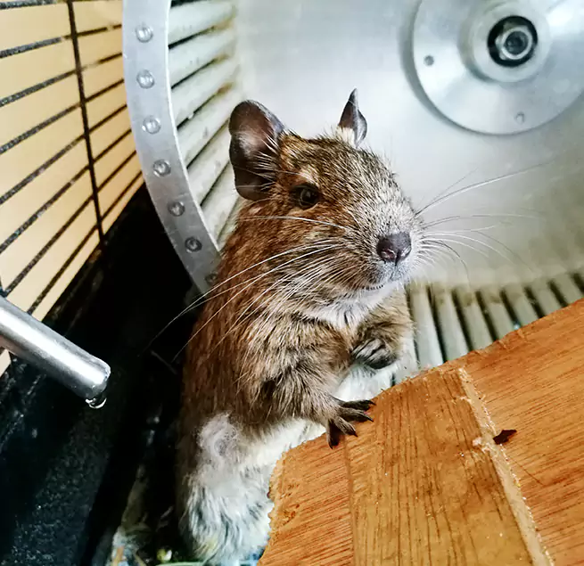 Why Homeowners & Businesses Trust Us Ottumwa, IA