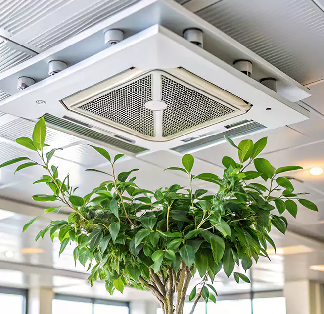 Why Homeowners & Businesses Trust Us in Ottumwa, IA?