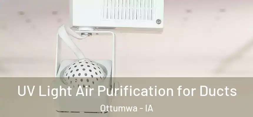  UV Light Air Purification for Ducts Ottumwa - IA